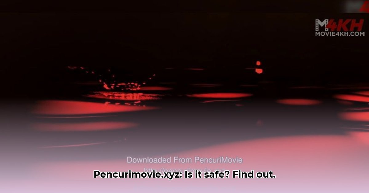 pencurimovie-xyz